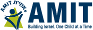 AMIT_HorizontalLogo-Web-1